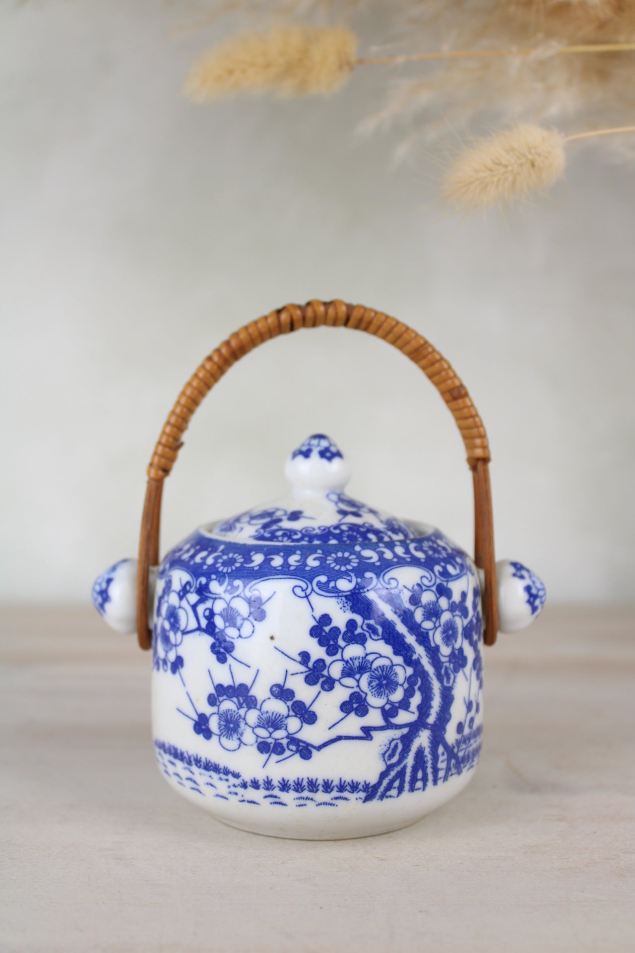 Sugar Jar in Blue and White with Cane Handle