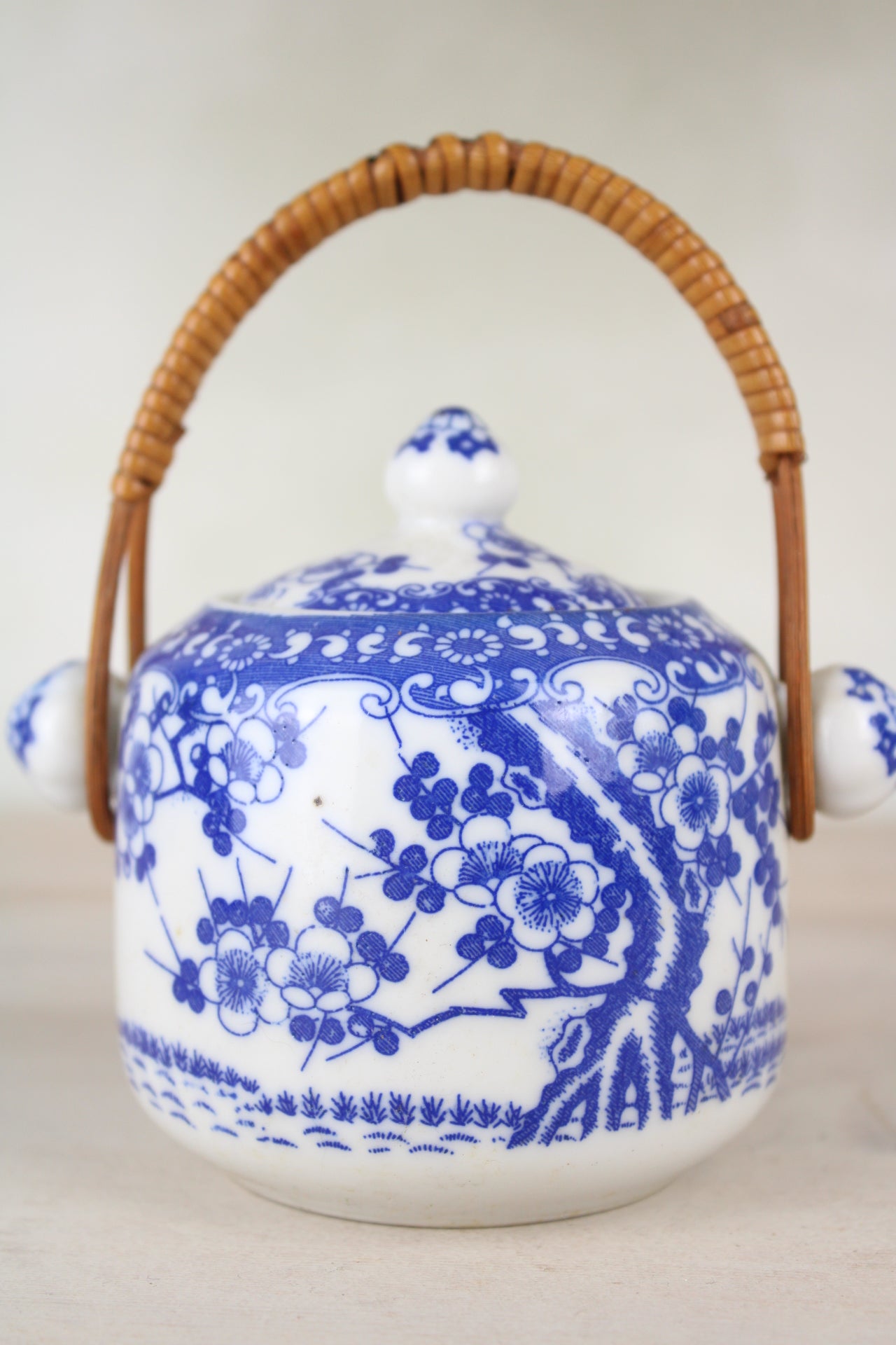 Sugar Jar in Blue and White with Cane Handle