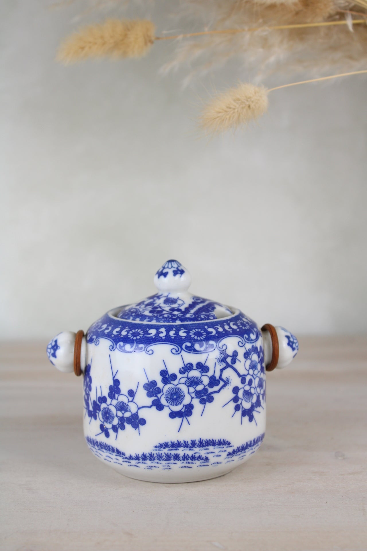 Sugar Jar in Blue and White with Cane Handle