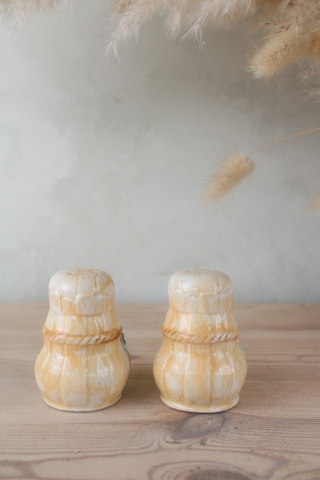 Duck Vintage Salt and Pepper Shakers