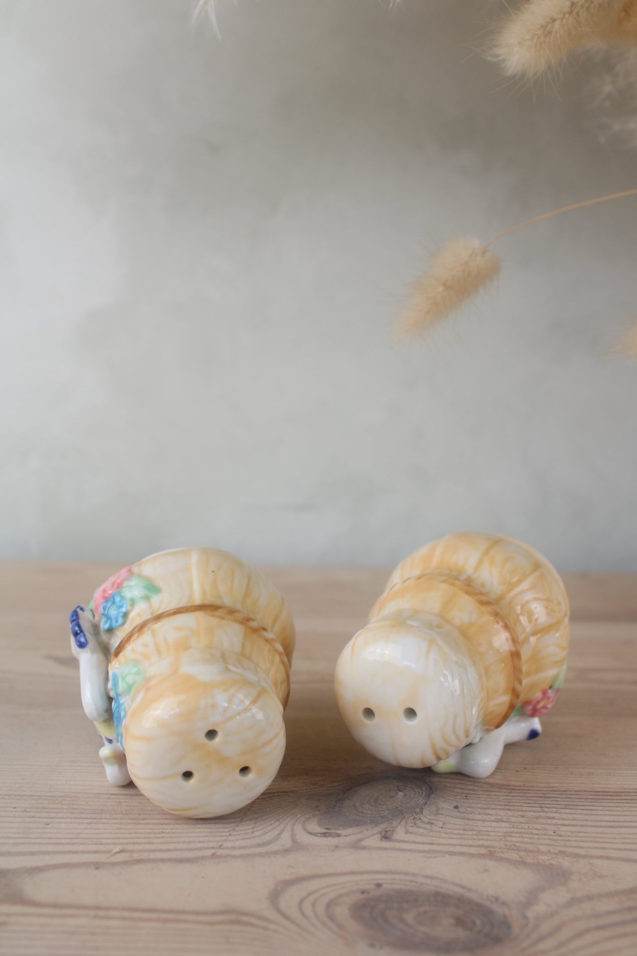 Duck Vintage Salt and Pepper Shakers