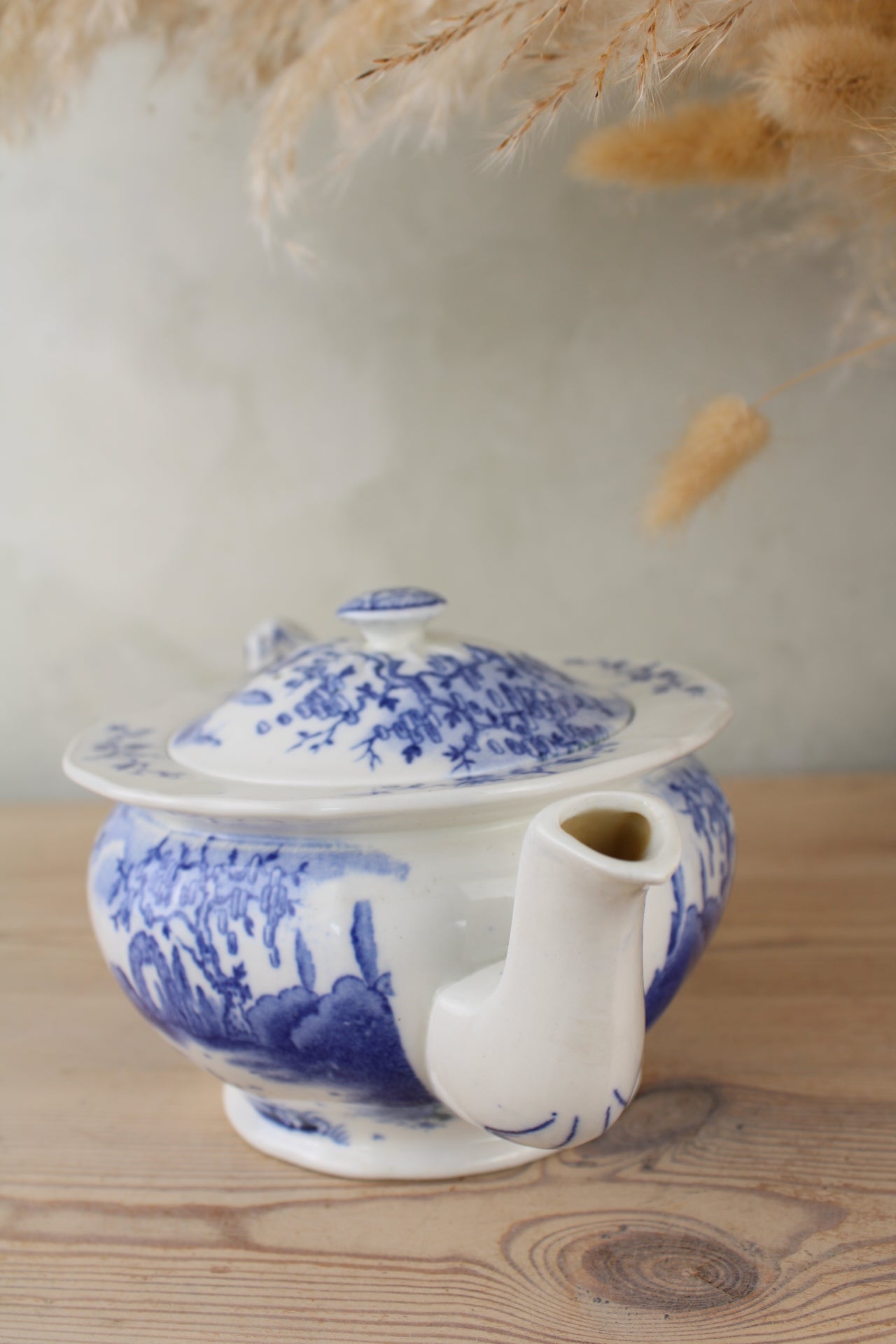 Regal Pottery Palissy ‘Enchanta’ Teapot