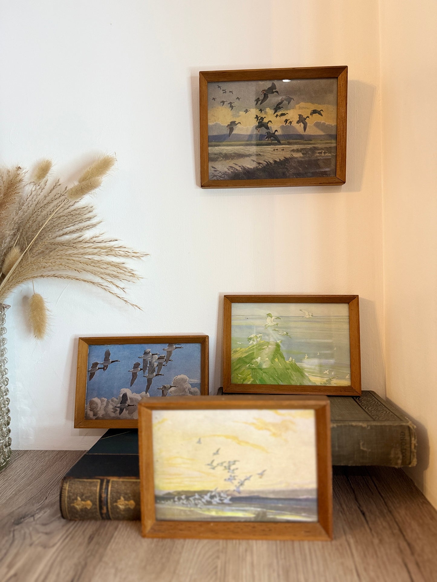 Set of 4 Retro Wooden Framed Bird Pictures