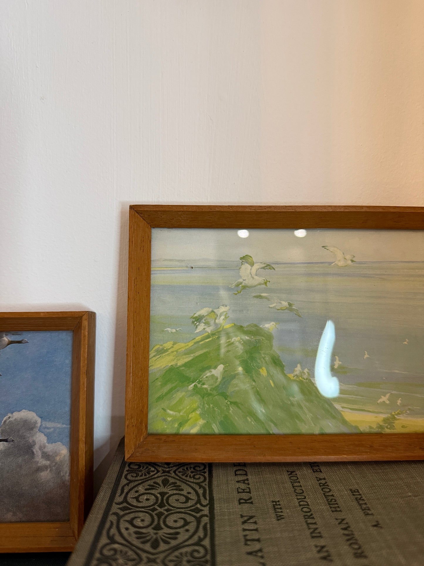 Set of 4 Retro Wooden Framed Bird Pictures