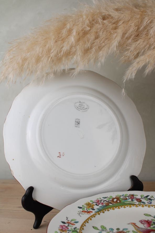 Set of 6 Copeland Spode Large Side Plates