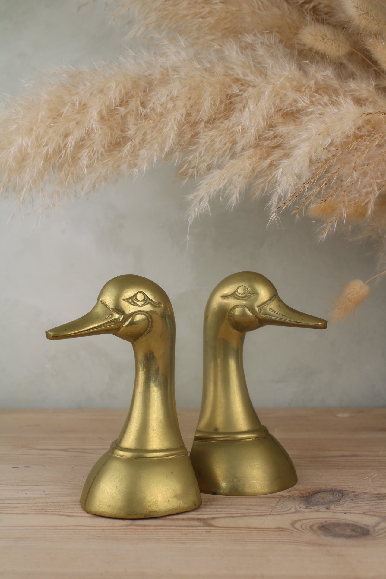 Brass Duck Head Bookends