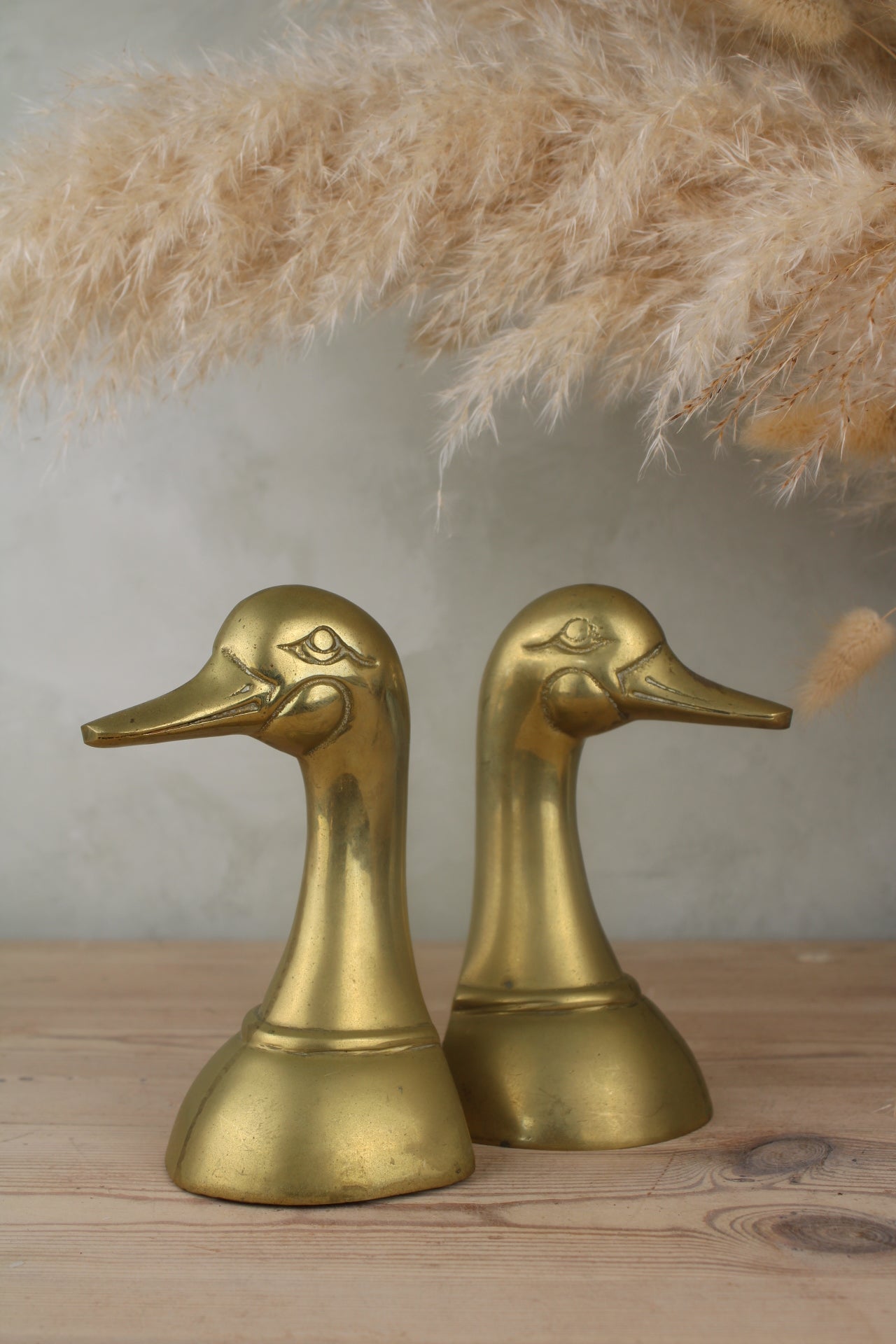Brass Duck Head Bookends