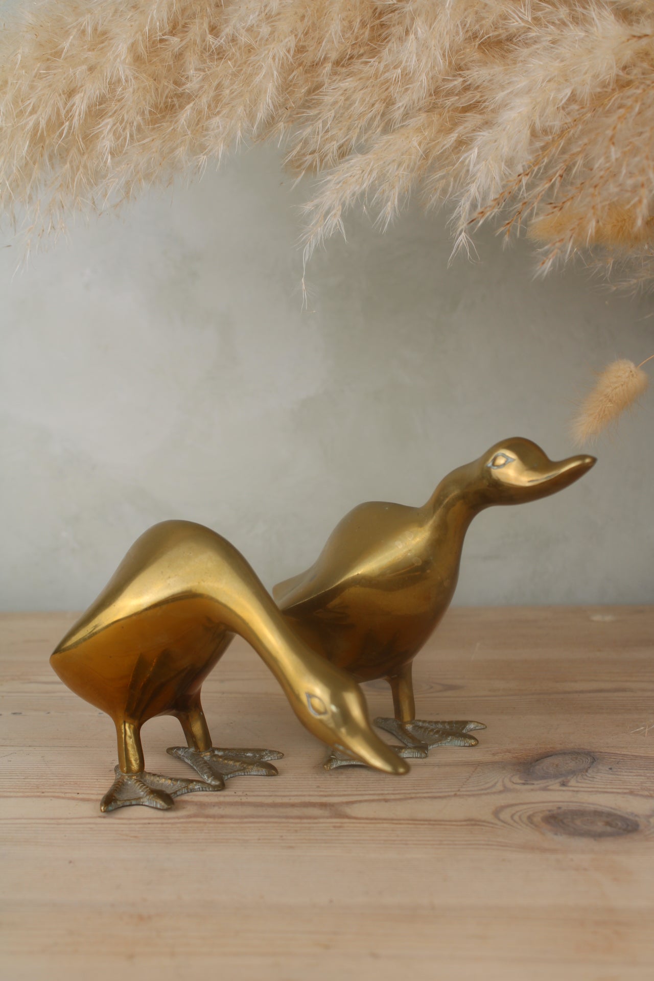 Pair of Brass Ducks