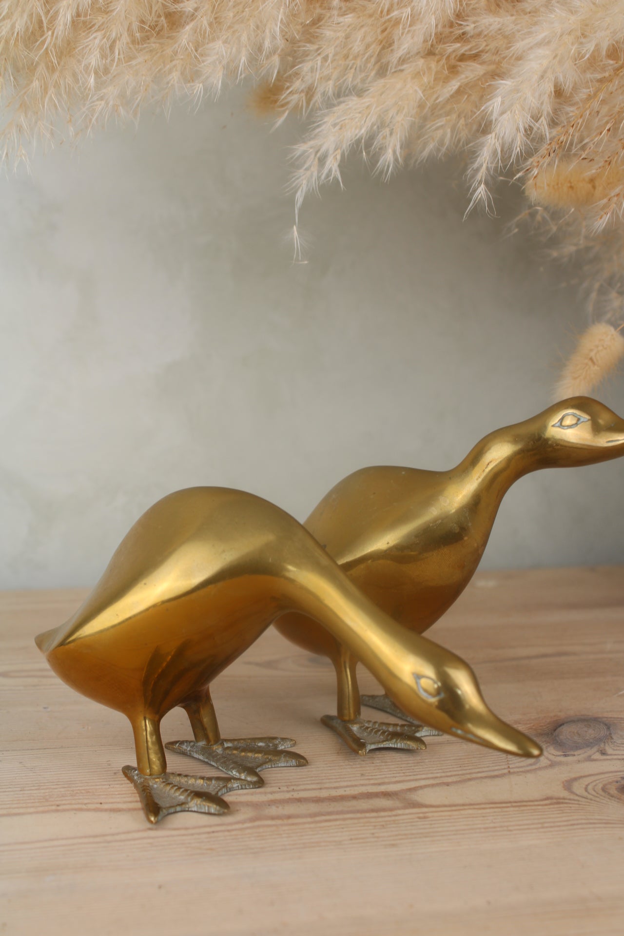 Pair of Brass Ducks