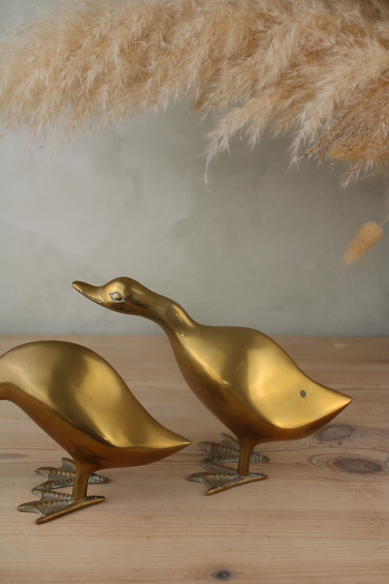 Pair of Brass Ducks