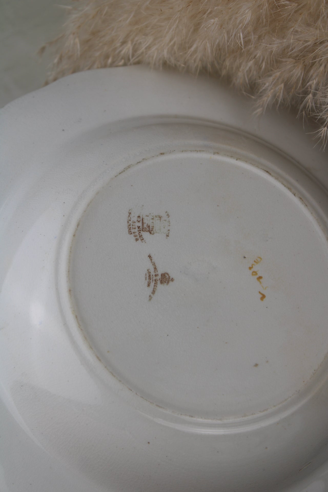 Set of 4 Copeland Spode Pasta Bowls