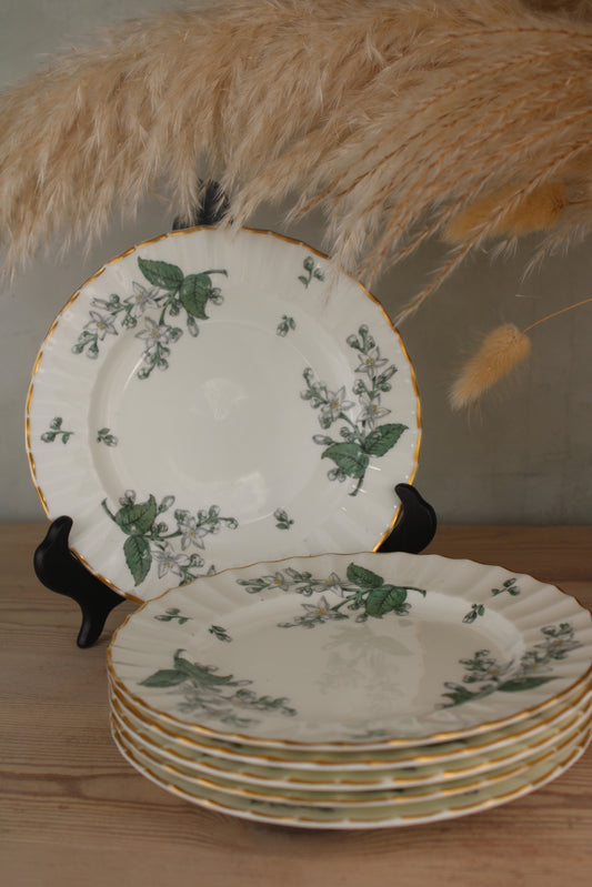 Set of 6 Royal Worcester Valencia Side Plates