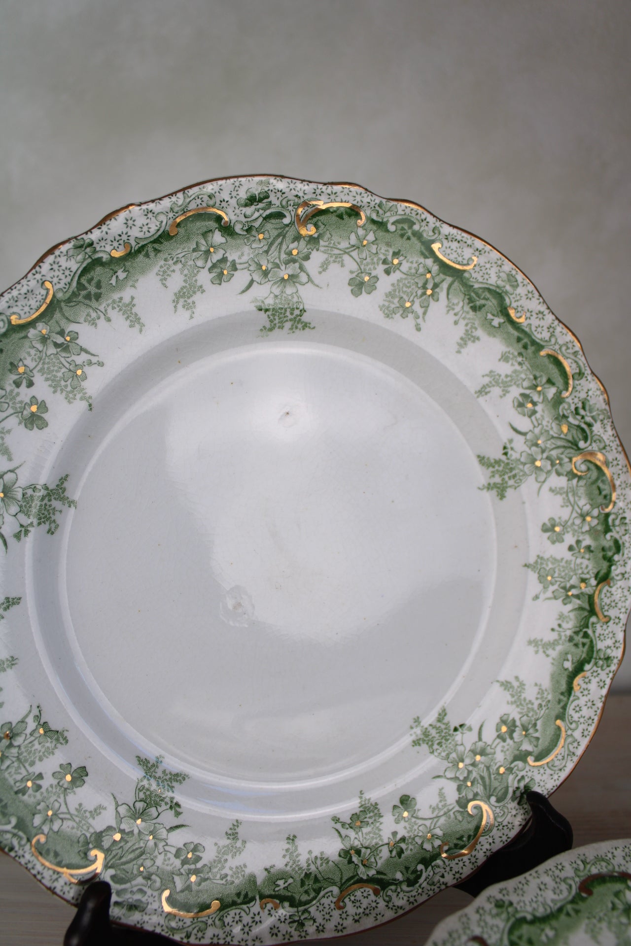 Set of 6 Waterloo Potteries Cromer Small Dinner Plates in Green Leaf Design