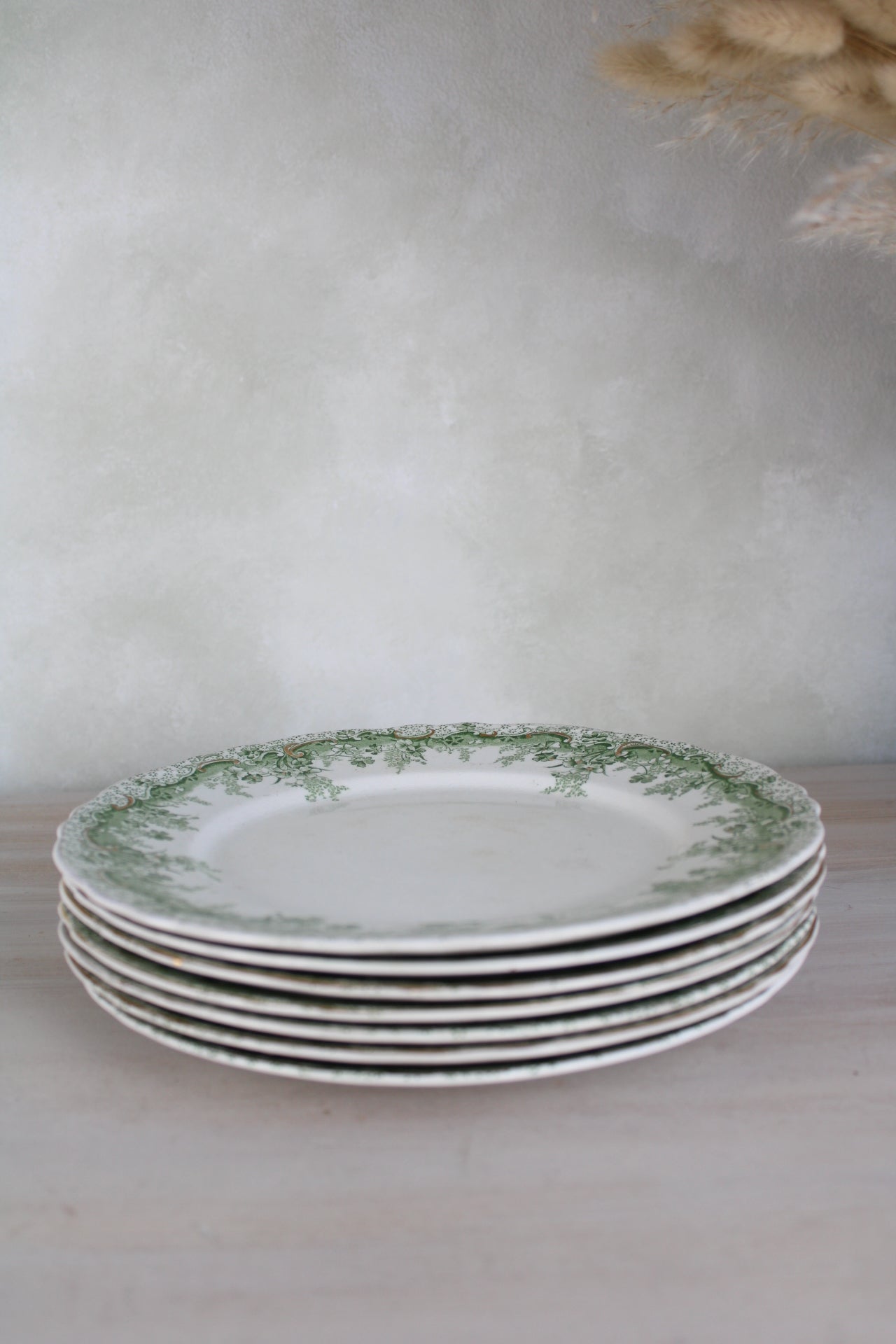 Set of 6 Waterloo Potteries Cromer Small Dinner Plates in Green Leaf Design