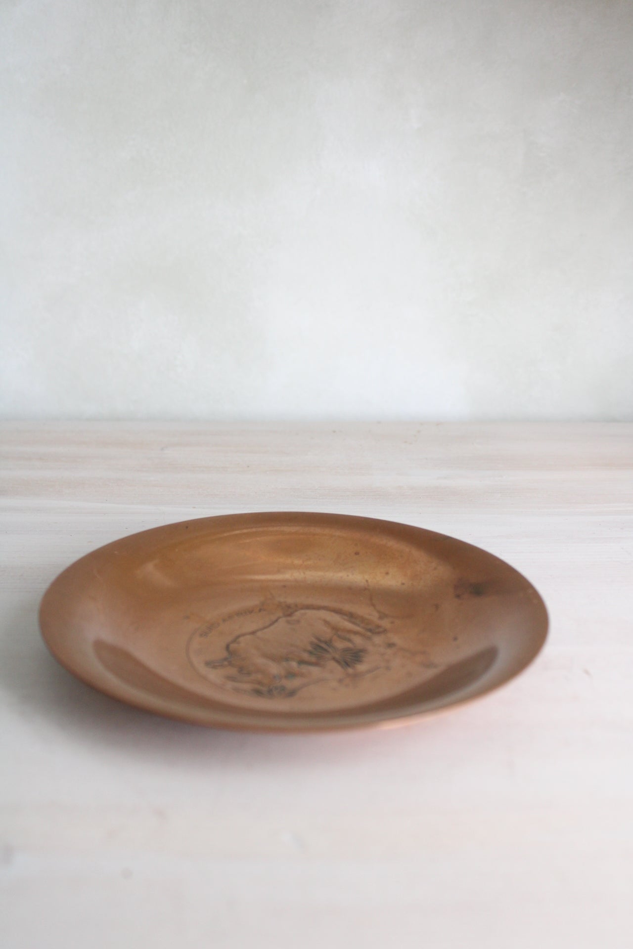 Copper African Rhino Small Wall Hanging Plate