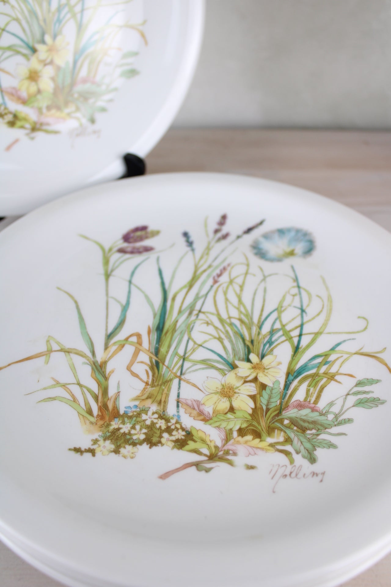 Set of 4 Pillivuyt France Vintage Dinner Plates