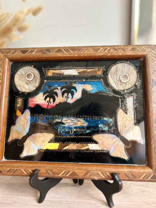 Wooden Inlay and Butterfly Wing Decorated Reverse Tray