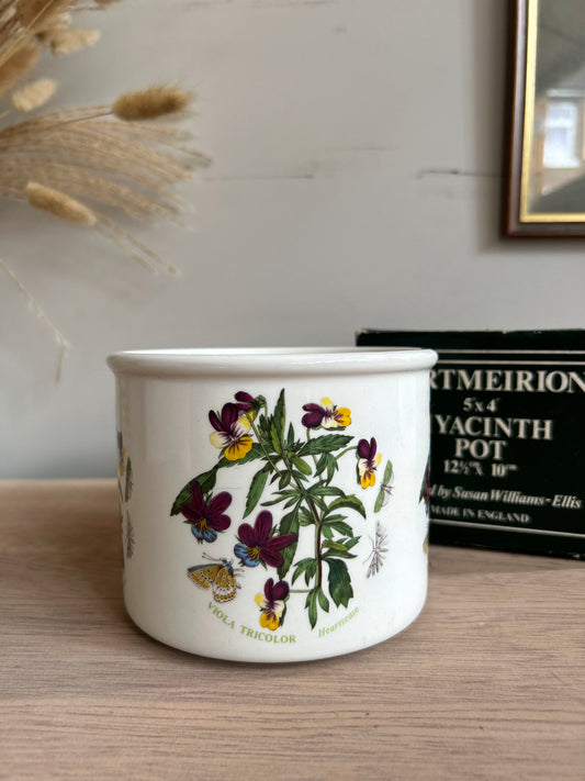 Portmeirion Botanic Garden Plant Pot in Original Box