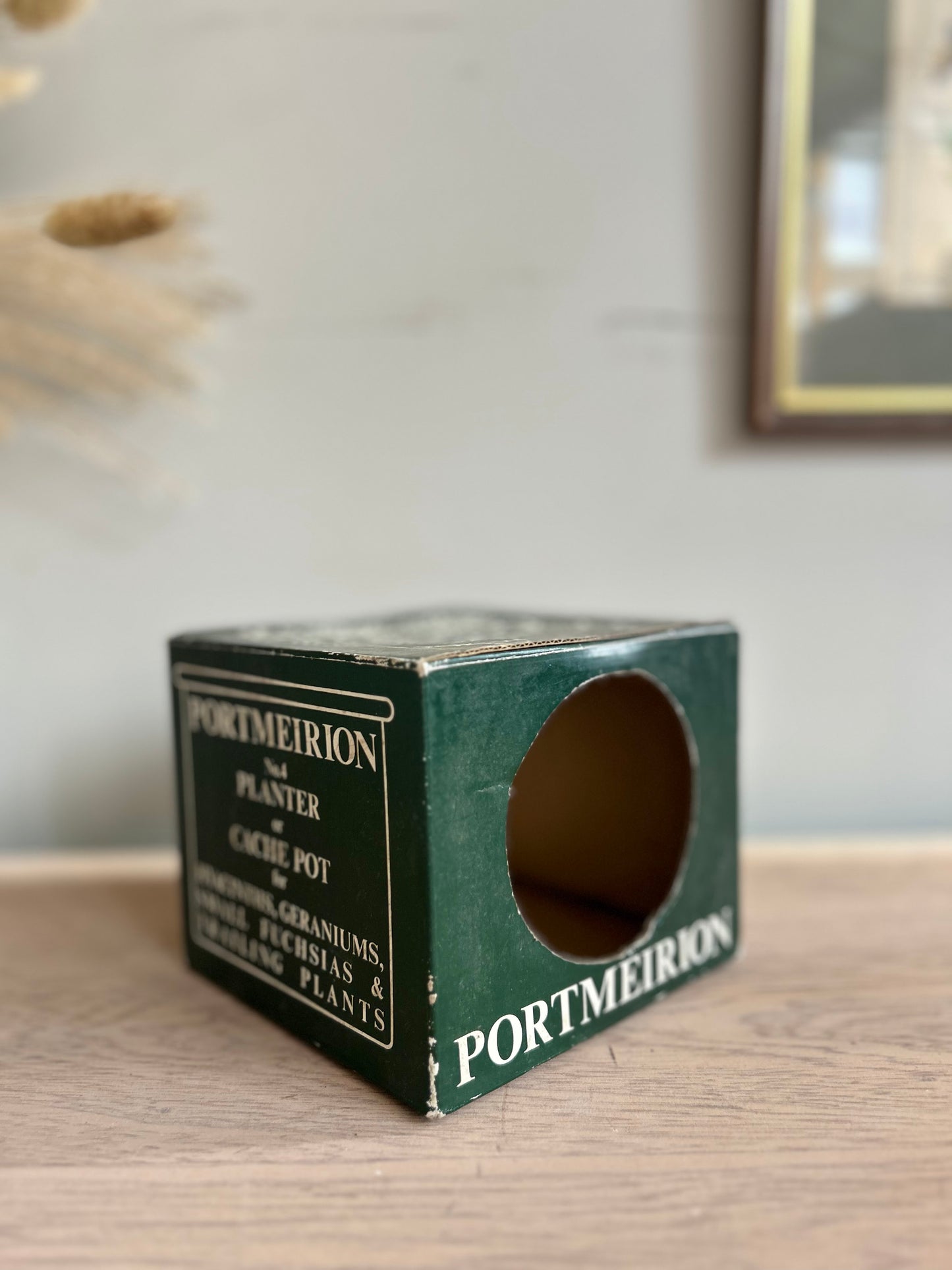 Portmeirion Botanic Garden Plant Pot in Original Box
