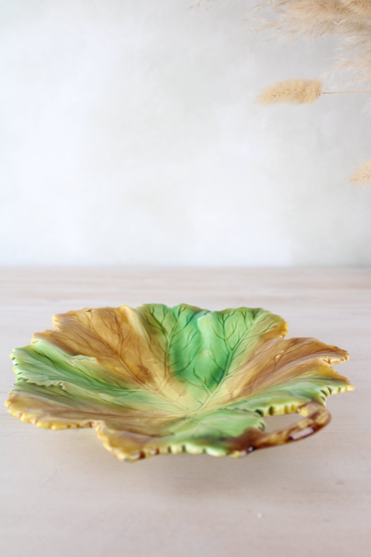 Majolica Style Leaf Shape Dish