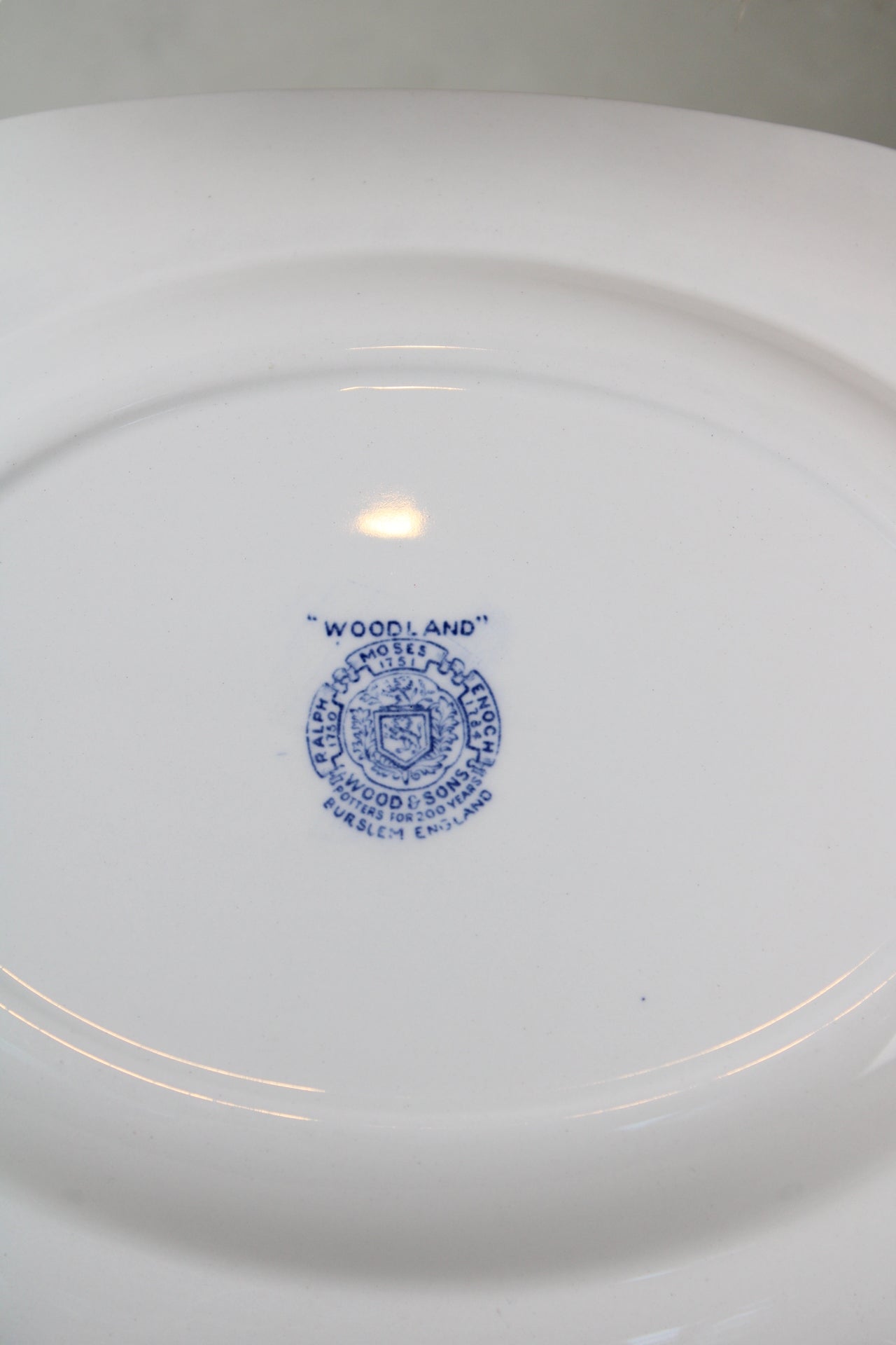 Burslem Woods & Sons Woodland Blue and White Small Platter