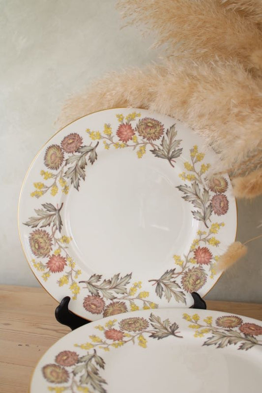 Set of 6 Wedgwood Lichfield Dinner Plates