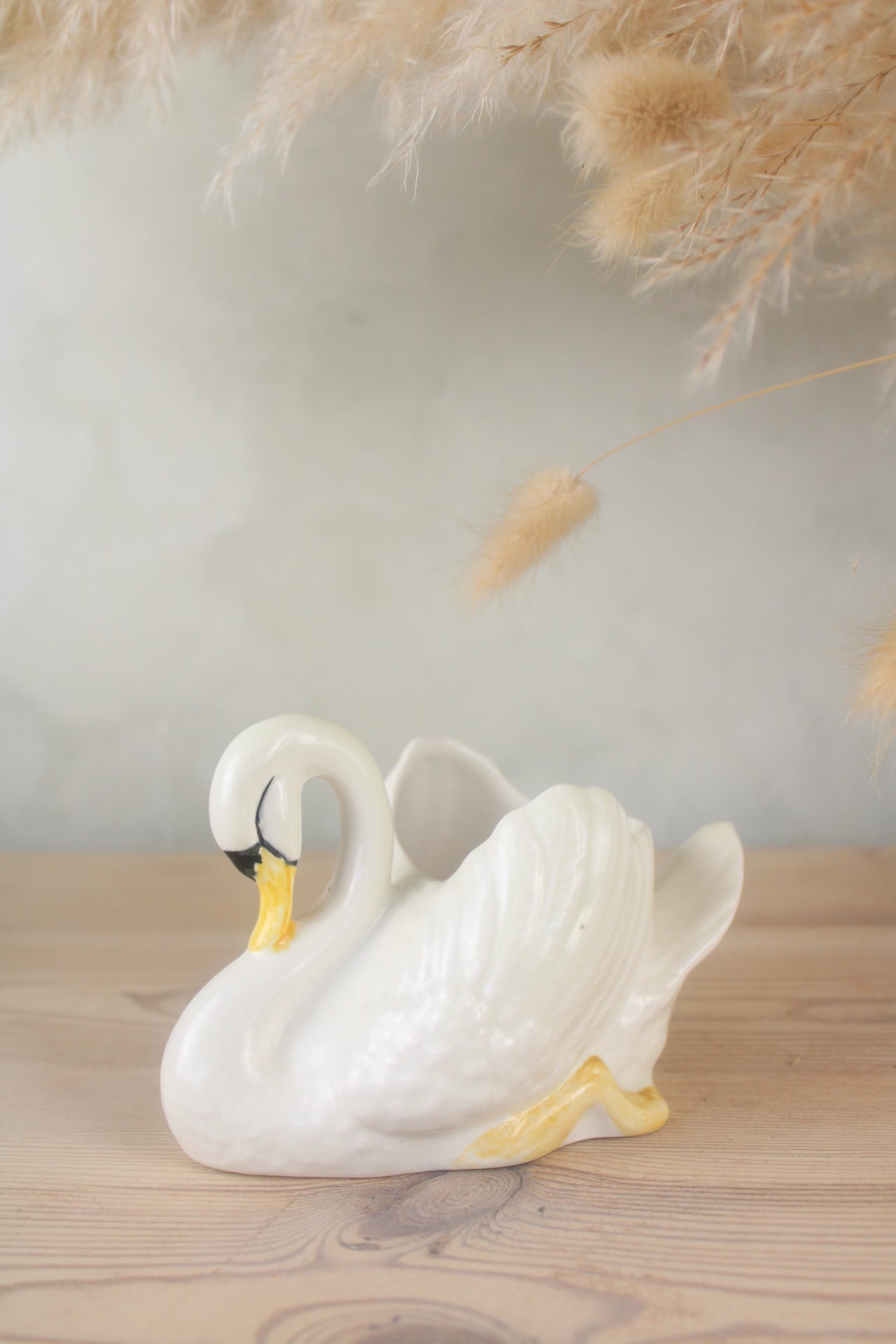 White Portuguese Swan Plant Pot