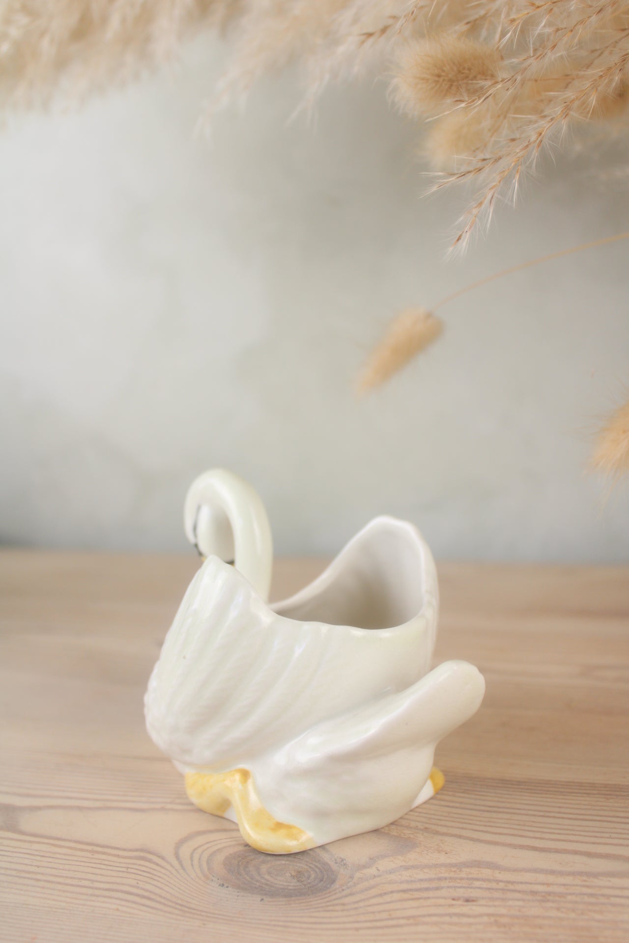 White Portuguese Swan Plant Pot