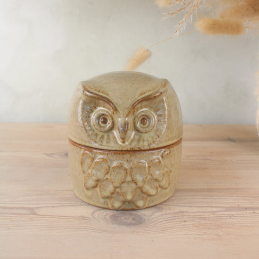 Rustic Owl Shaped Stoneware Pot