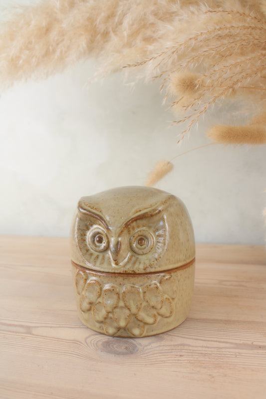 Rustic Owl Shaped Stoneware Pot