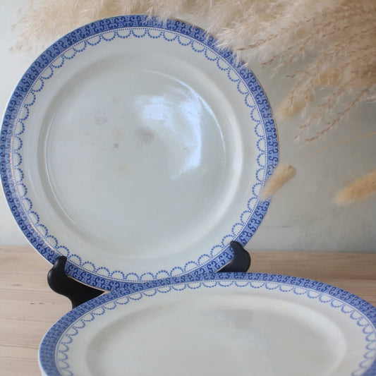 Set of 4 W Hulme Louis Blue Edge Dinner Plates