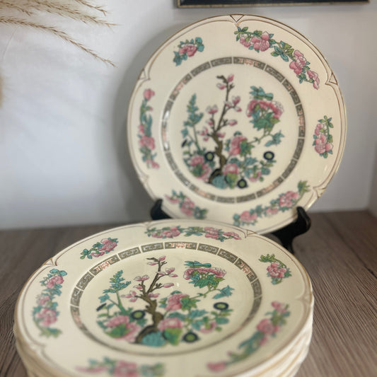 Set of 6 Morley Ware Indian Tree Dinner Plates