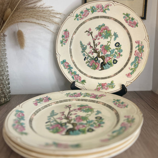 Set of 6 Morley Ware Indian Tree Large Dinner Plates