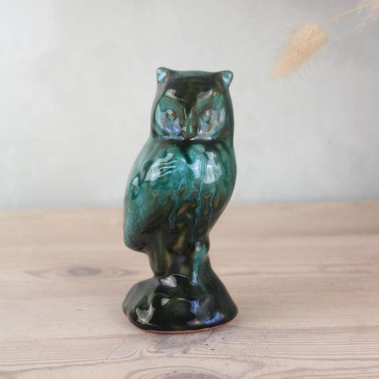 Blue Mountain Owl