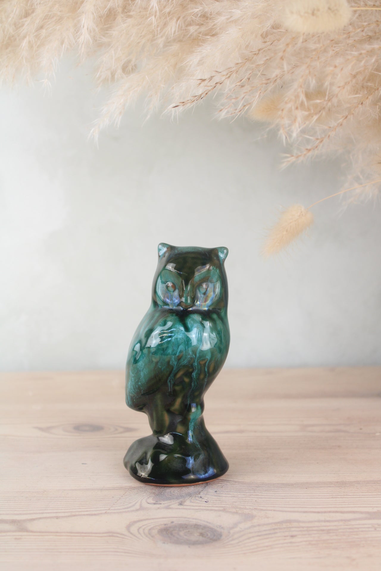 Blue Mountain Owl