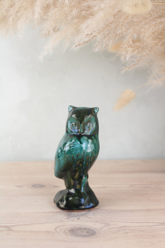 Blue Mountain Owl