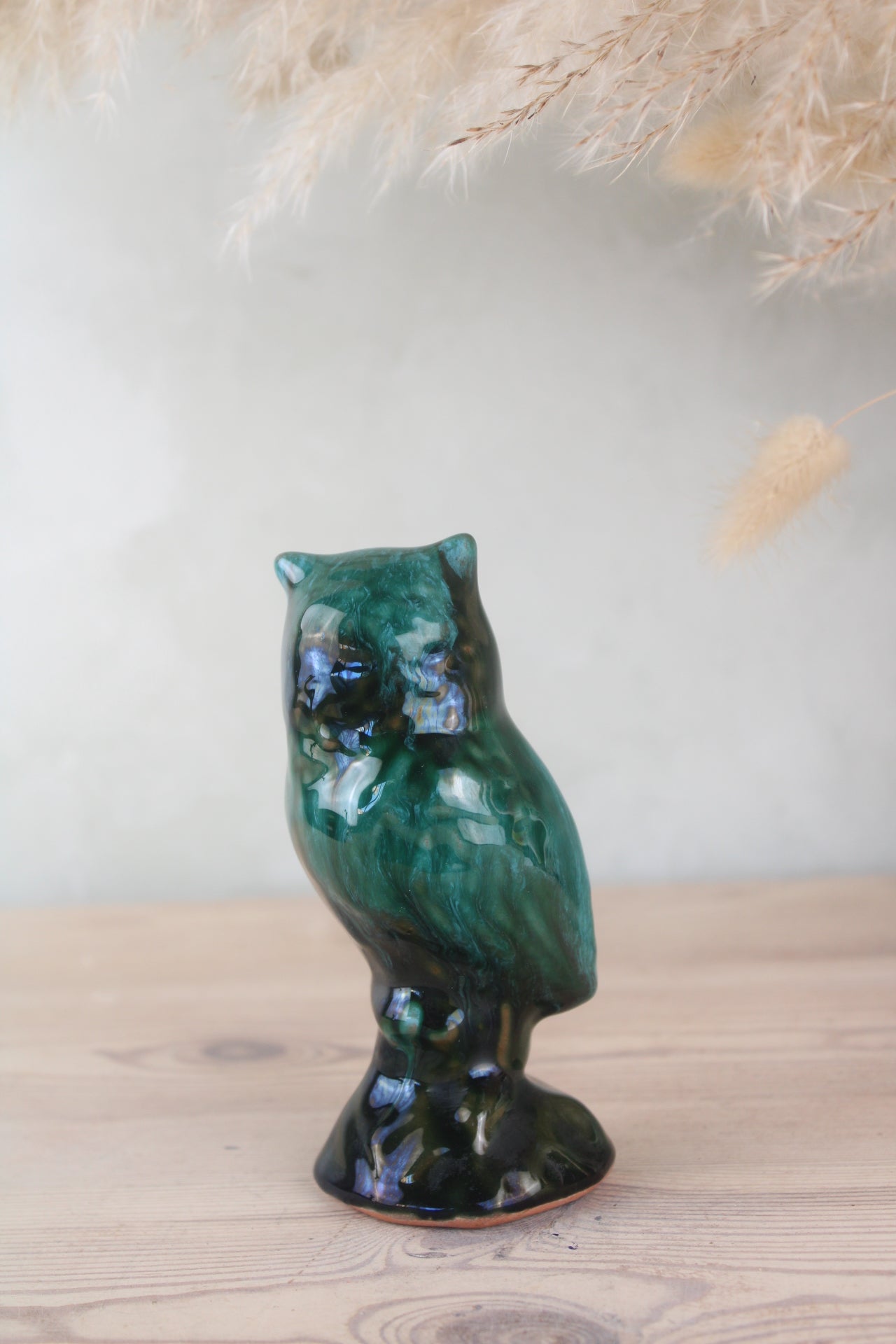 Blue Mountain Owl