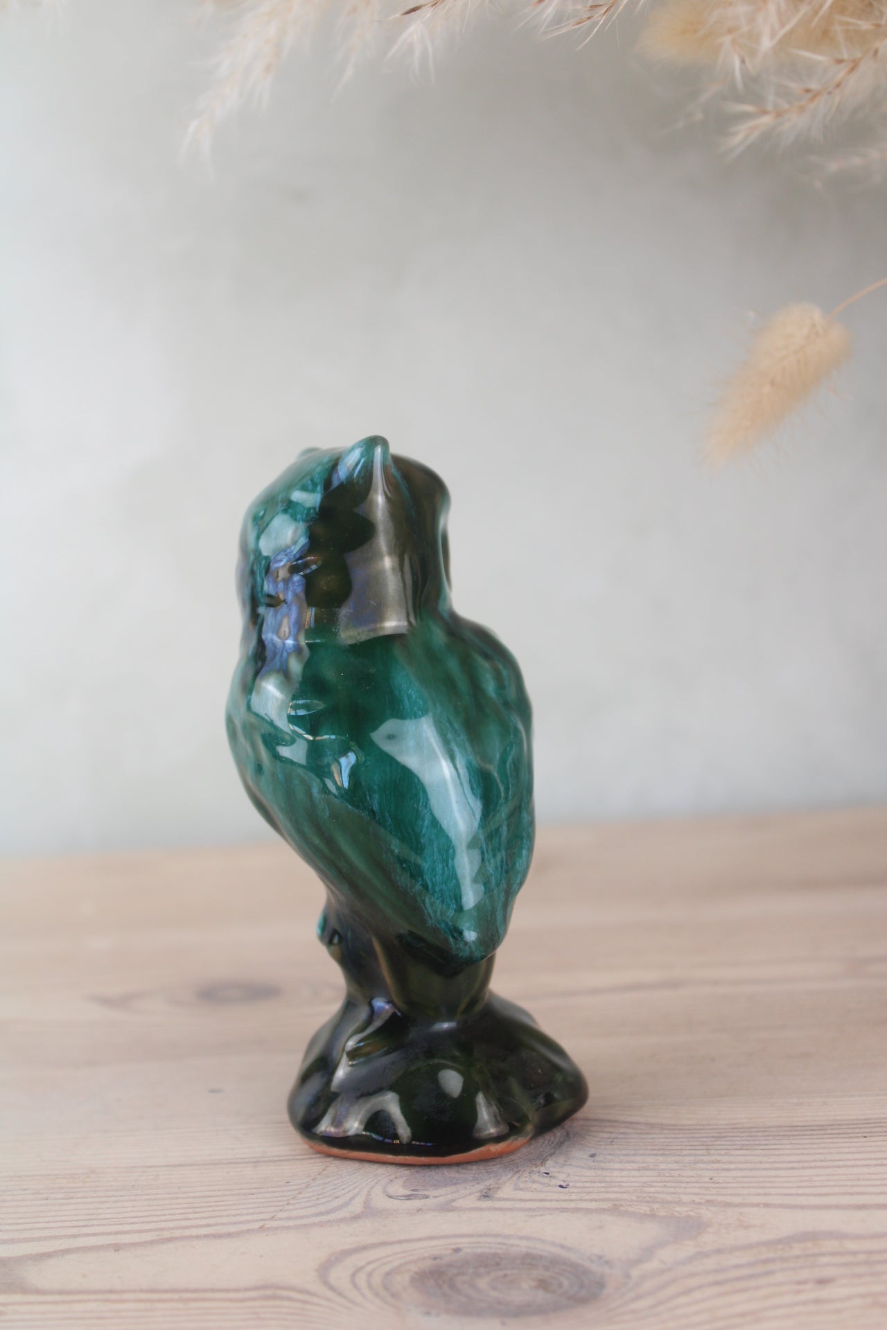 Blue Mountain Owl