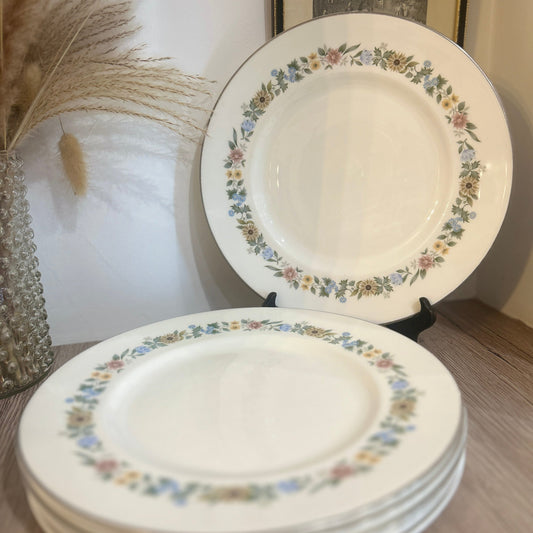 Set of 6 Royal Doulton Pastorale Vintage Floral Plates