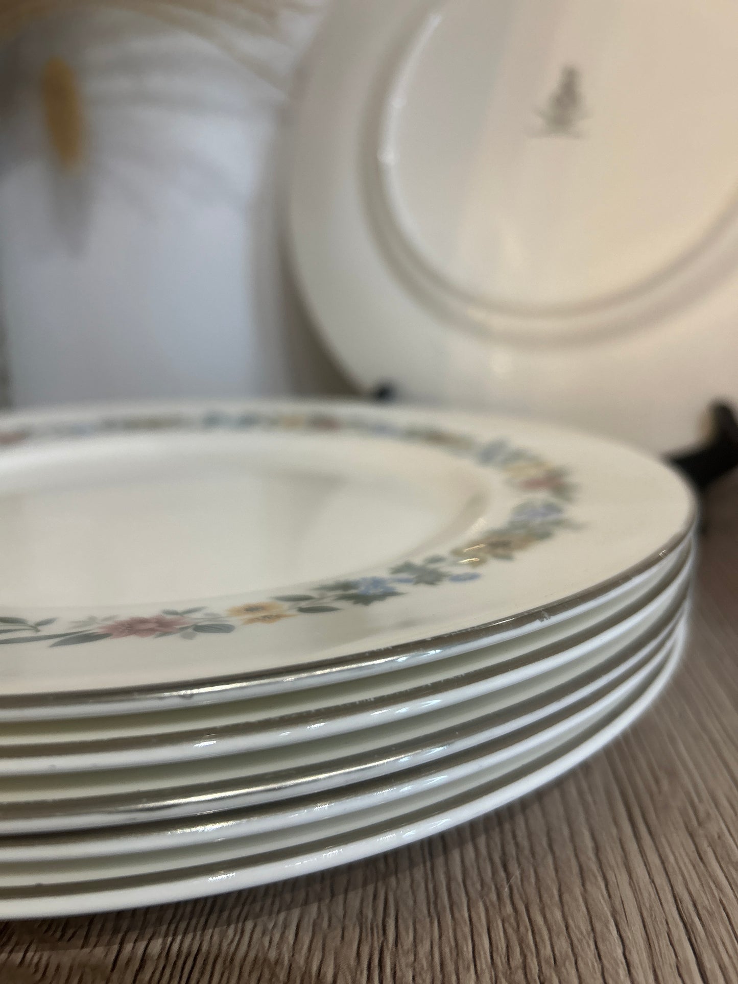 Set of 6 Royal Doulton Pastorale Vintage Floral Plates