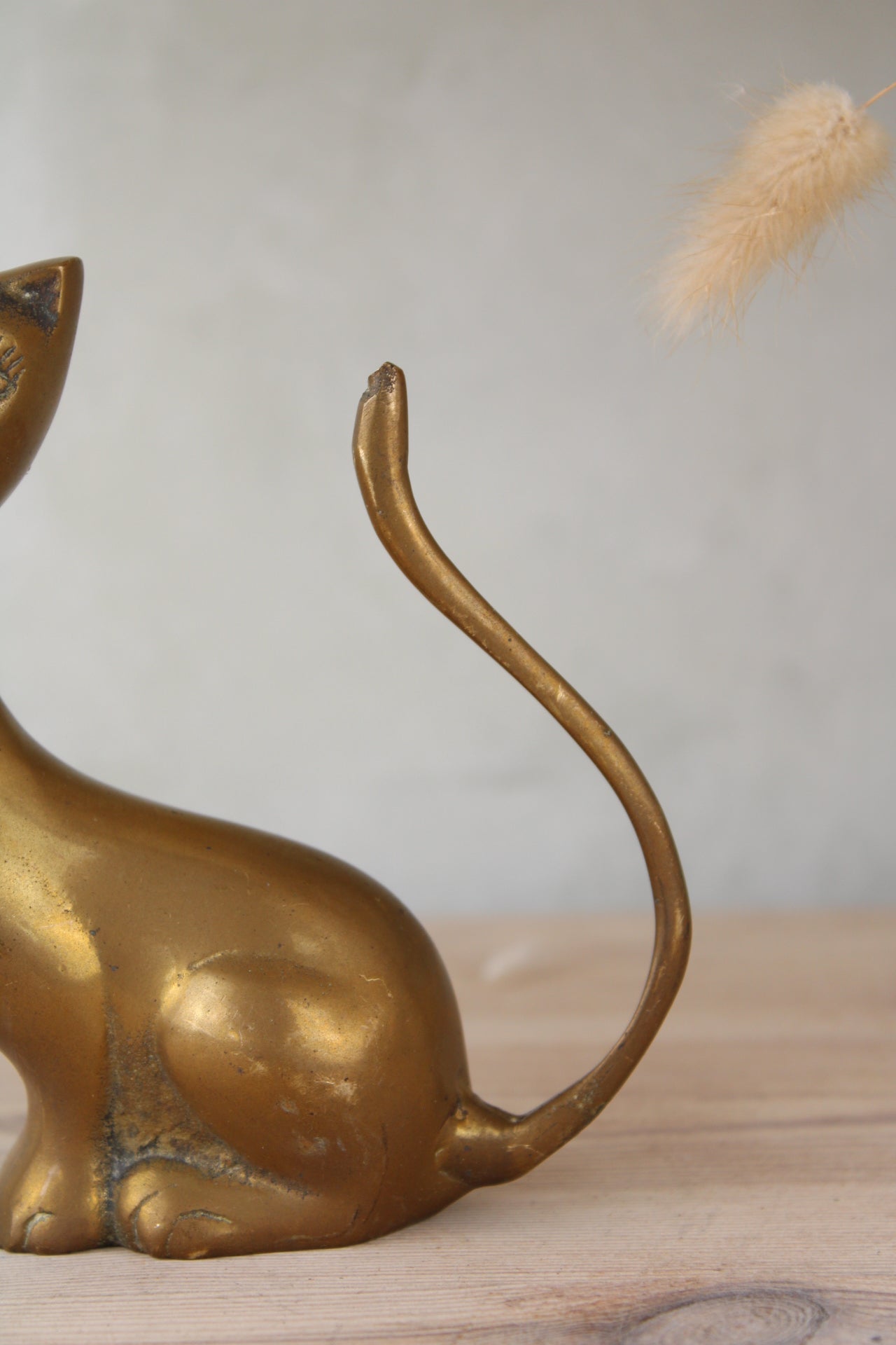 Brass Cat