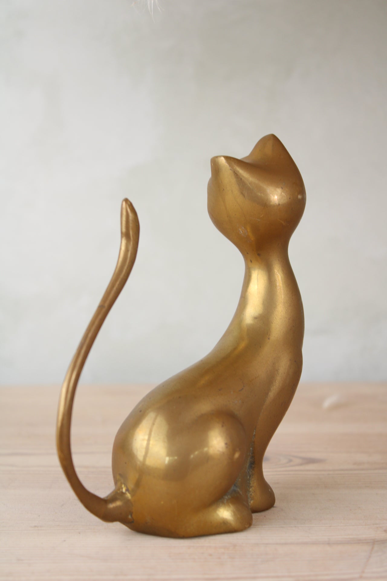 Brass Cat