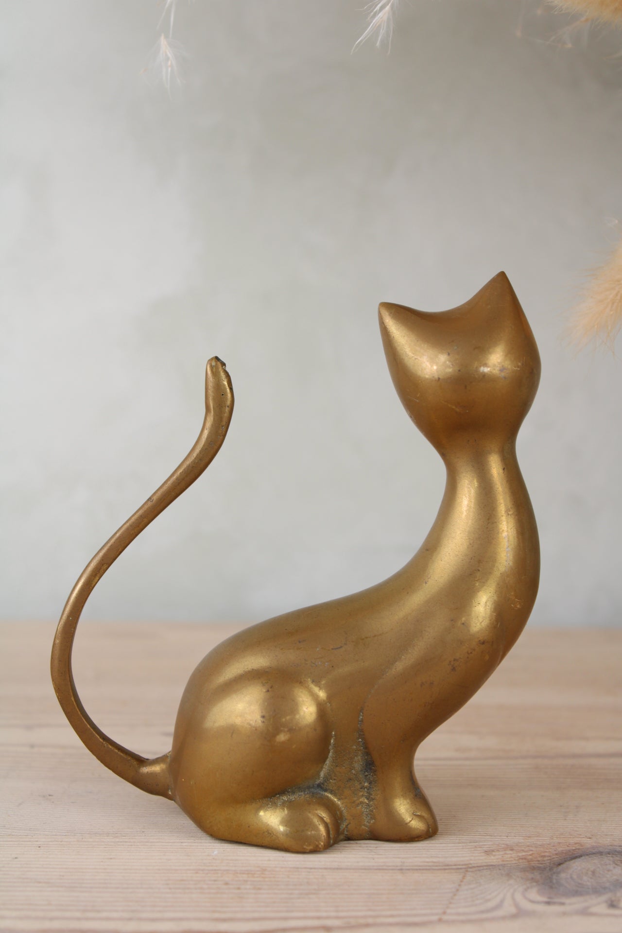 Brass Cat