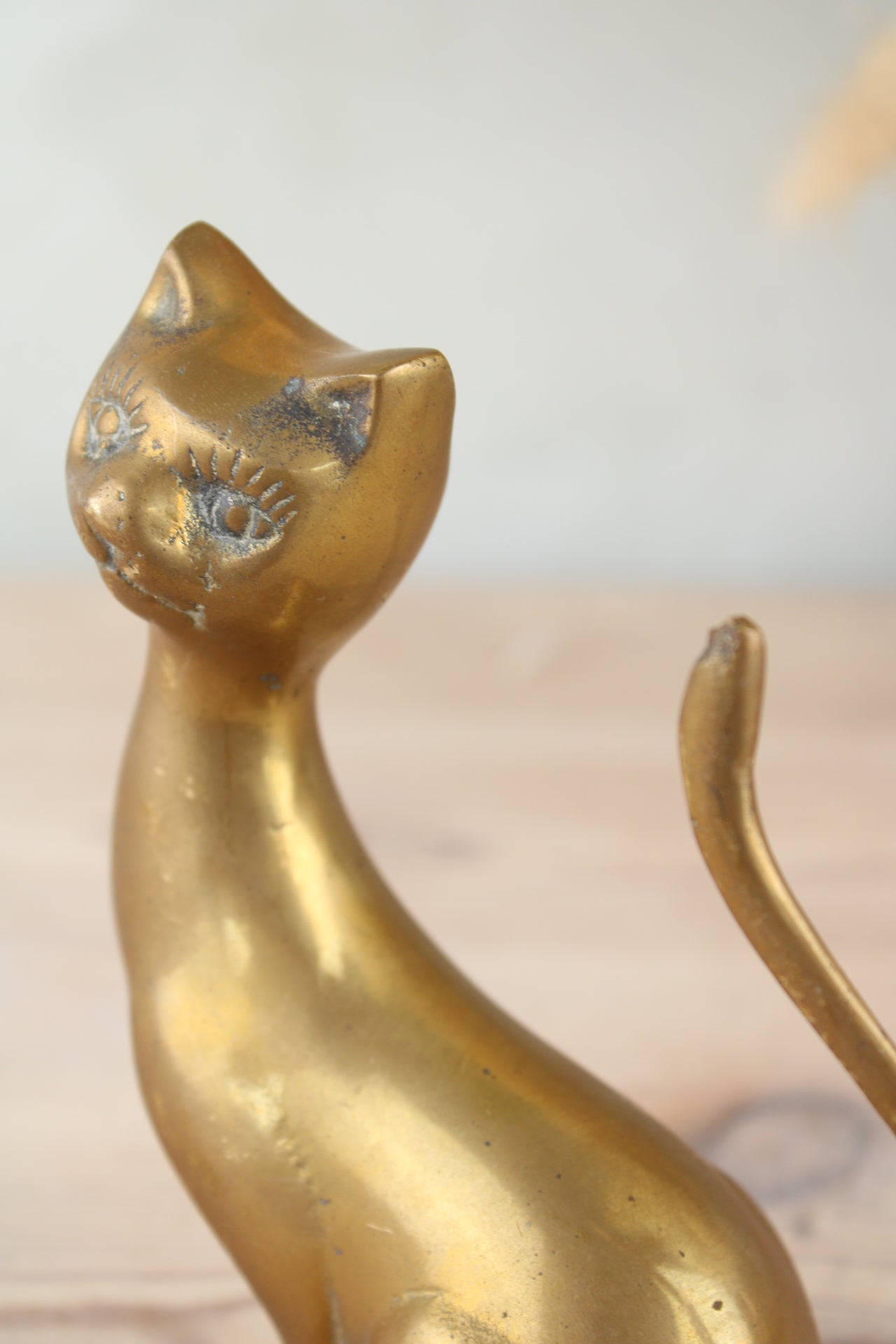 Brass Cat