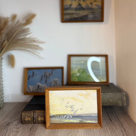 Set of 4 Retro Wooden Framed Bird Pictures