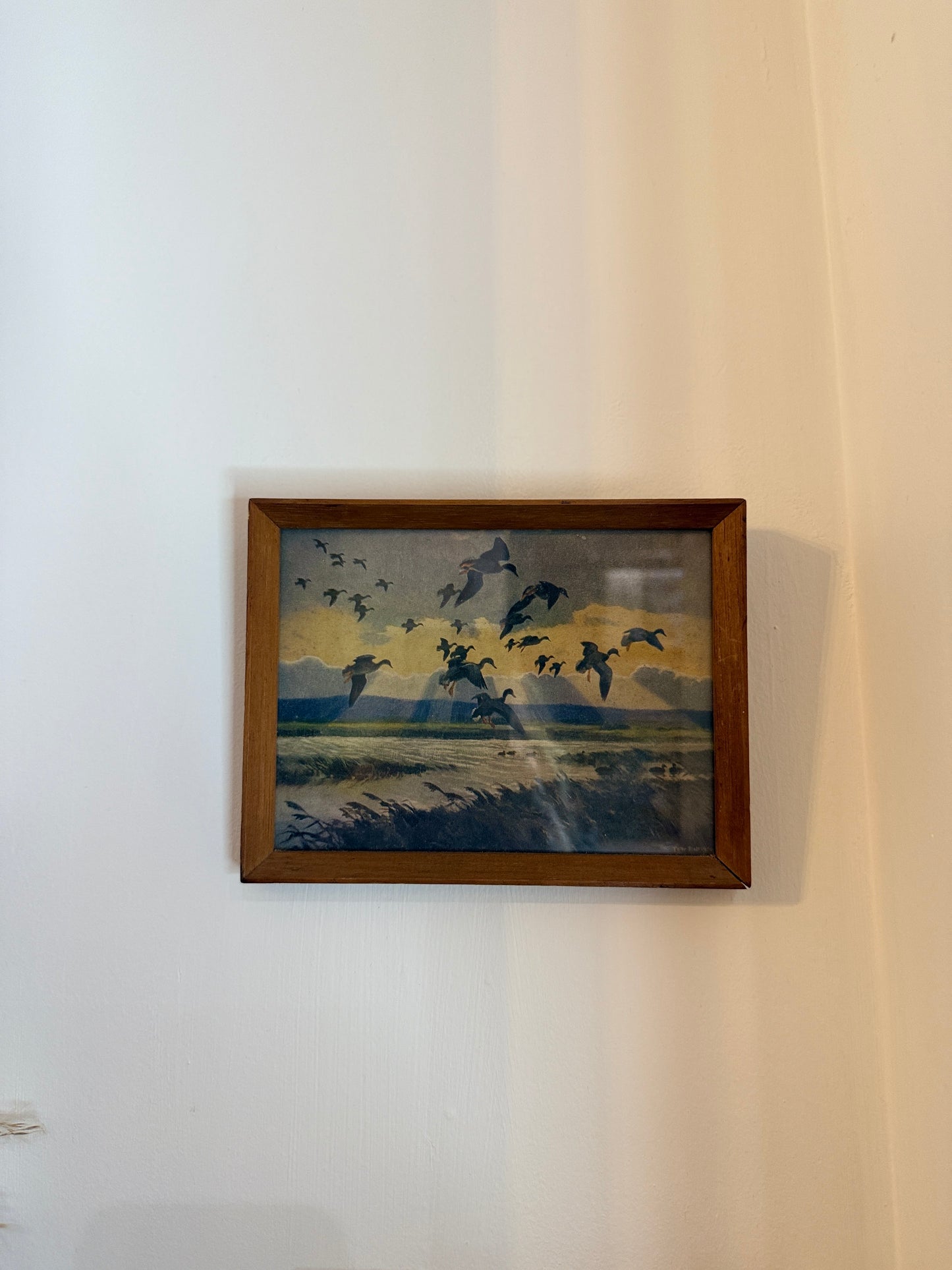 Set of 4 Retro Wooden Framed Bird Pictures