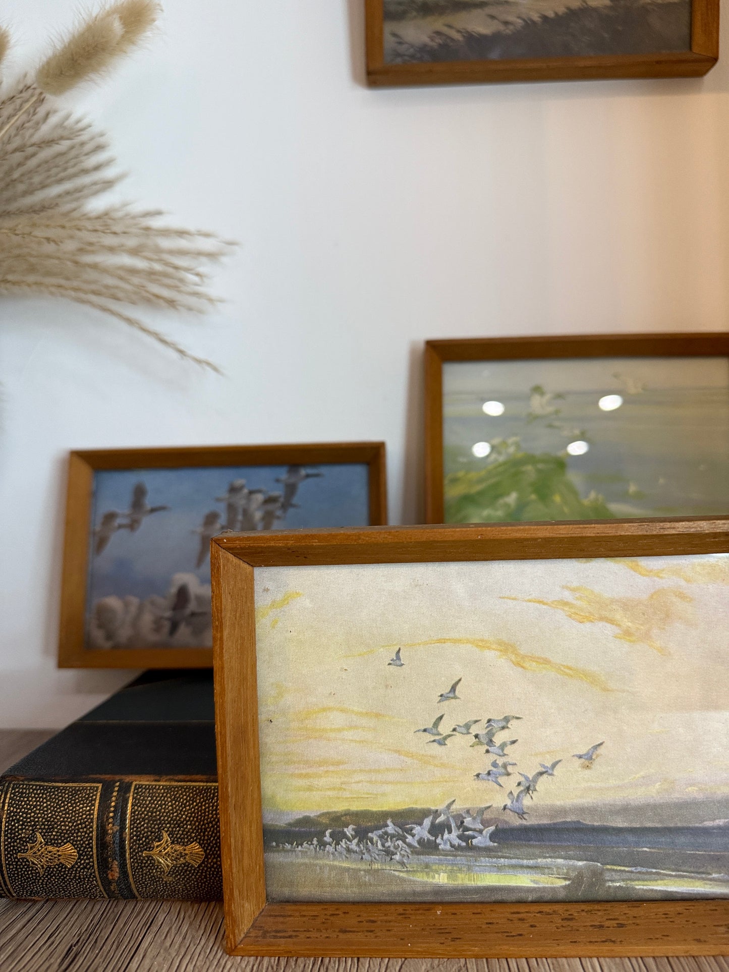 Set of 4 Retro Wooden Framed Bird Pictures