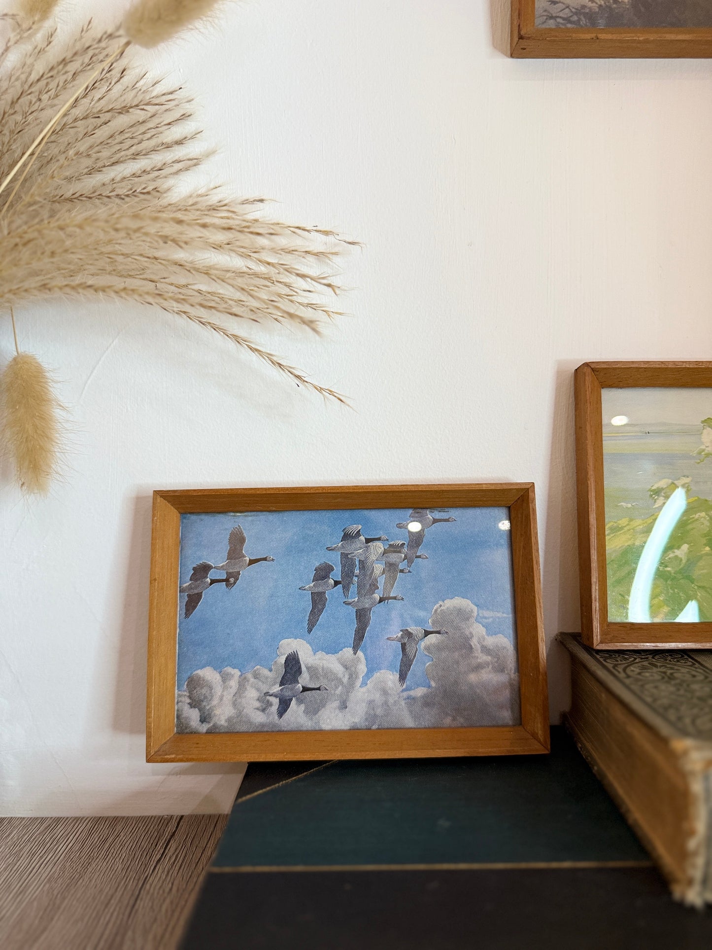 Set of 4 Retro Wooden Framed Bird Pictures