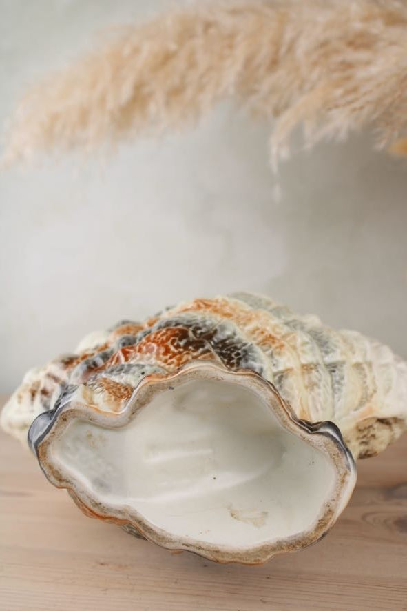 Sylvac 3525 Shell Vase