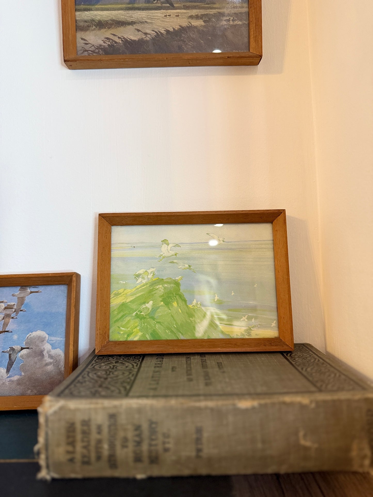 Set of 4 Retro Wooden Framed Bird Pictures